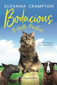 bodacious il gatto pastore di suzanna crampton